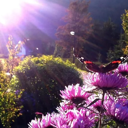 Niedersfeld-winterberg