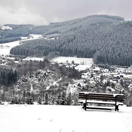 ホテル Niedersfeld-winterberg 3*