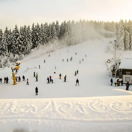 Hotel Niedersfeld-winterberg 3*