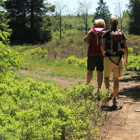 Hotel Niedersfeld-winterberg Winterberg