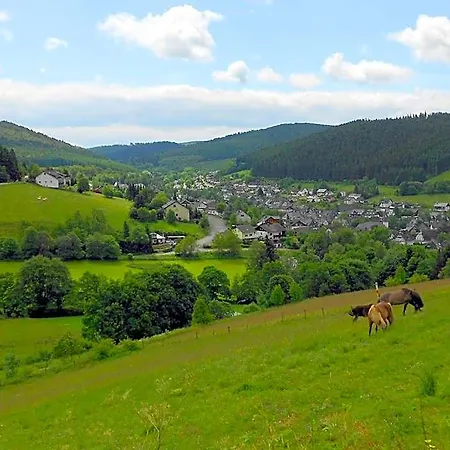 Otel Niedersfeld-winterberg 3*