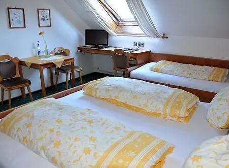 Hotel Niedersfeld-winterberg 3*