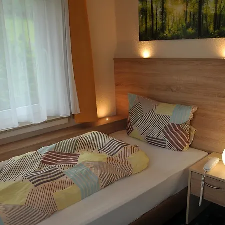 Hotel Niedersfeld-winterberg