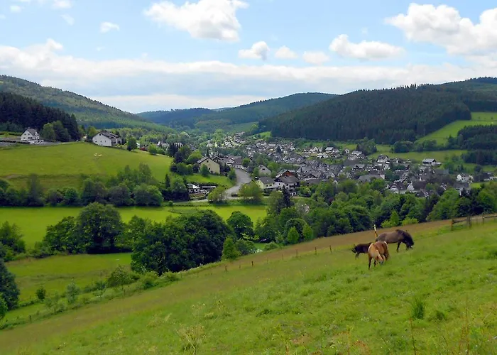 Hotel Niedersfeld-winterberg Winterberg