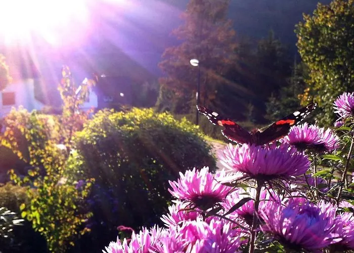 Niedersfeld-winterberg