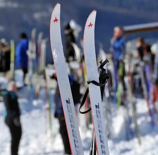 Hotel Niedersfeld-winterberg 3*