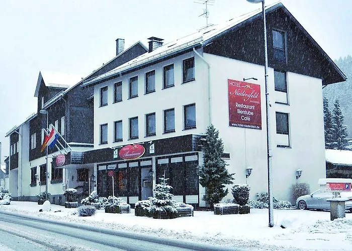 Hotel Niedersfeld-winterberg 3*