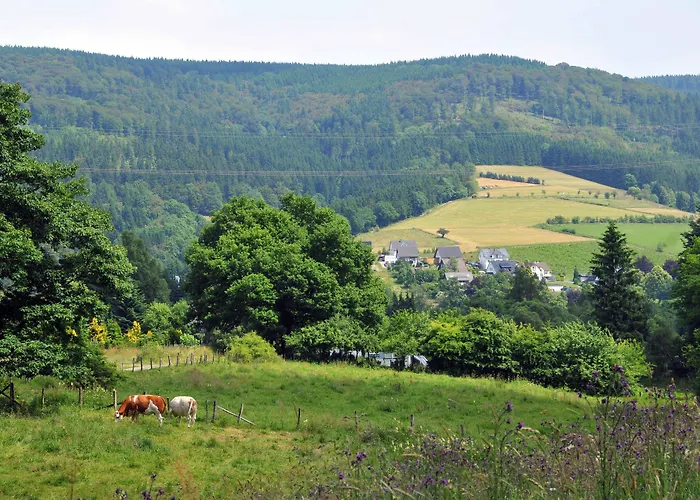 Hotel Niedersfeld-winterberg