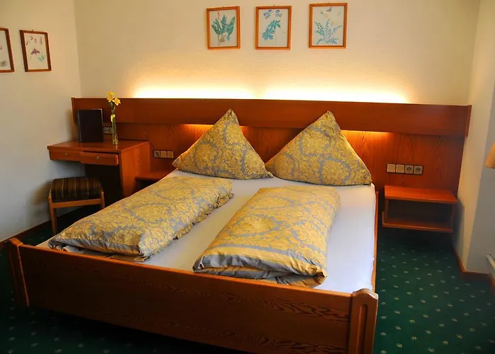 Niedersfeld-winterberg Hotel